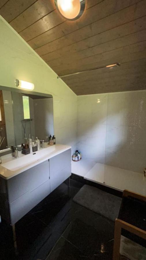 Chalet Luxueux Châtel Dış mekan fotoğraf